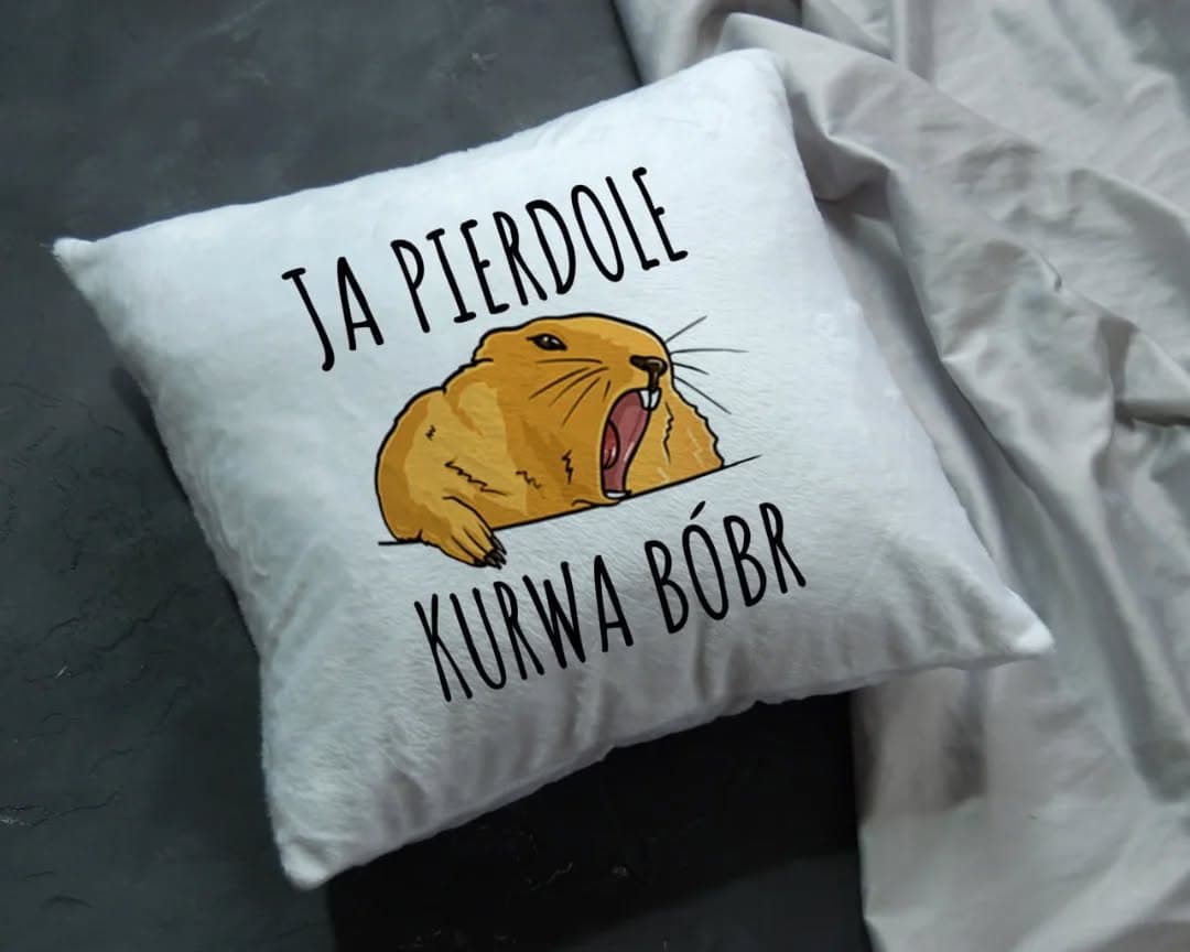 Подушка Ja pierdole kurwa bóbr 🦫
.
💰Ціна подушки р